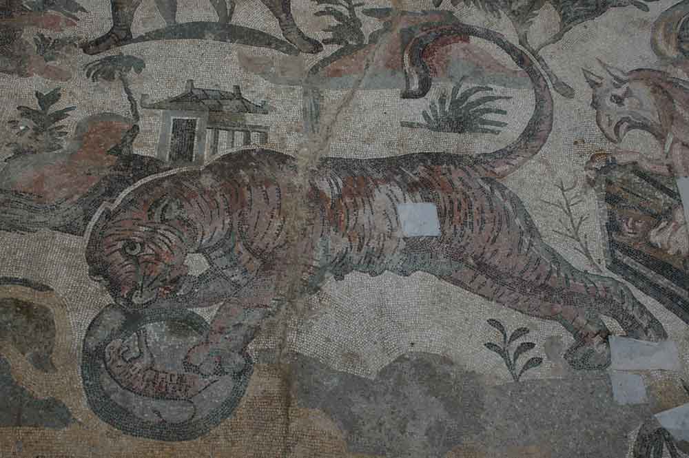 58 - Italia - Sicilia - Piazza Armerina - villa romana de Casale - mosaico